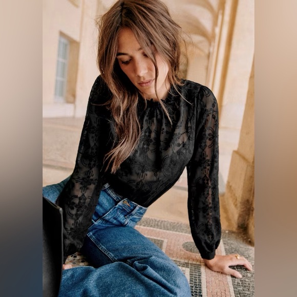 Sezane Tops - BNWT Sézane Valentine Black Embroidered Blouse US 8 FR 40 Long-Sleeve Sheer Mock